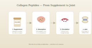do collagen supplements work for joint pain