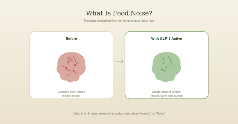 what is food noise and why GLP-1 drugs quiet it