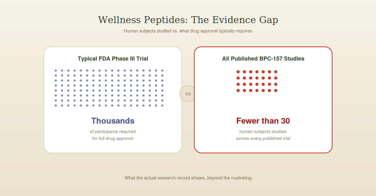 are wellness peptides safe BPC-157 growth hormone secretagogues